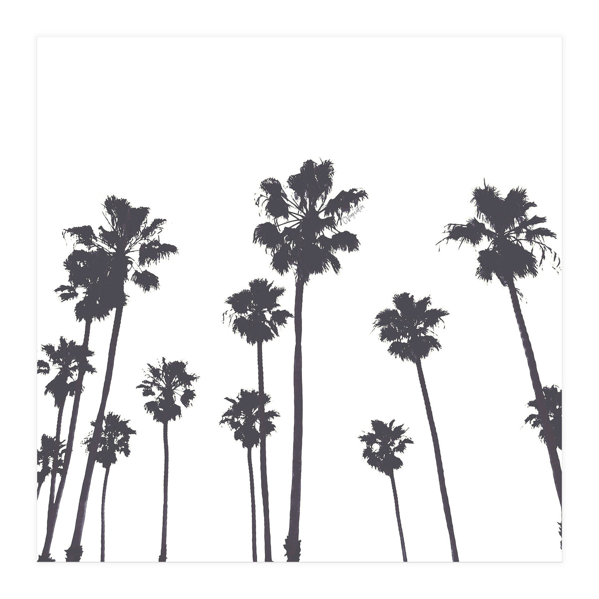 Palms & Sunset-Minimal B&W (Print Only)