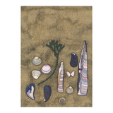 A Beach Still Life (Print Only) thumbnail