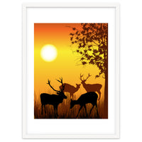 Deer Card