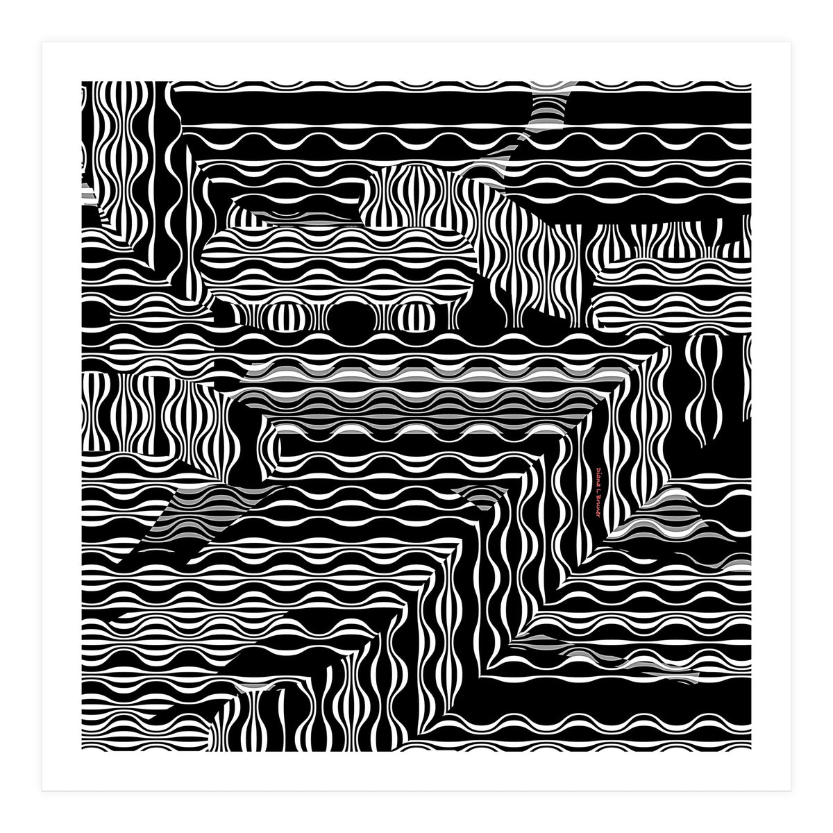 BLACK AND WHITE EXOTIC (Print Only)