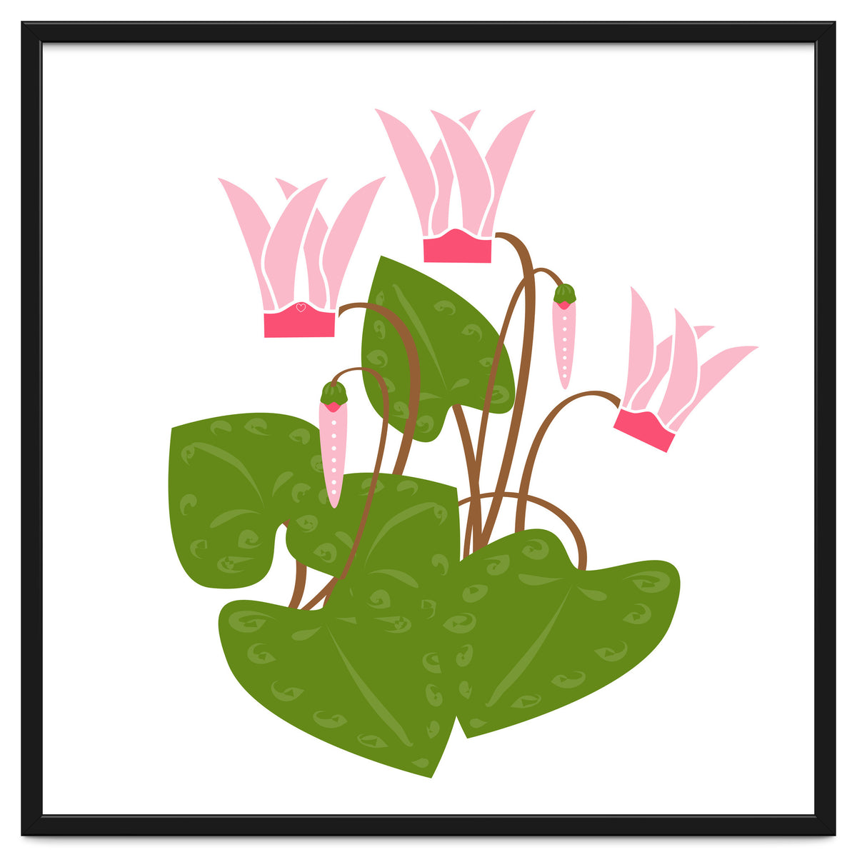 Cascading Cyclamen