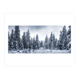 Winterland (Print Only) thumbnail