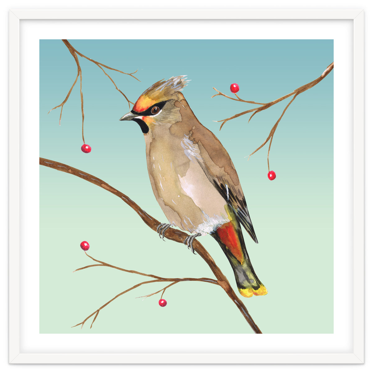 Bohemian waxwing
