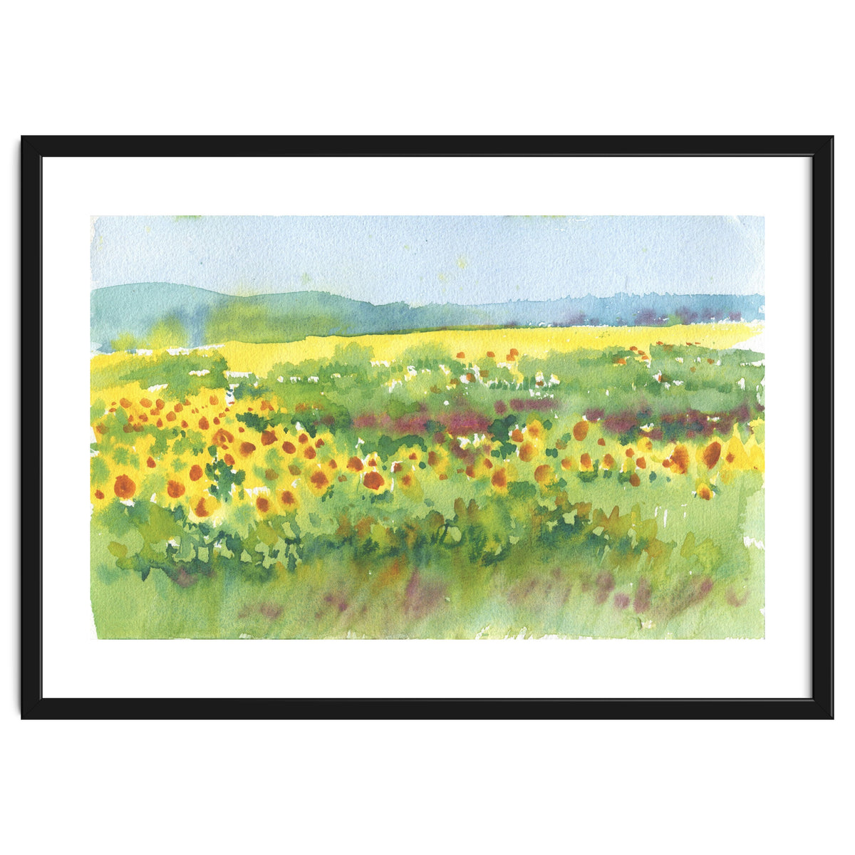 Sunflowers field
