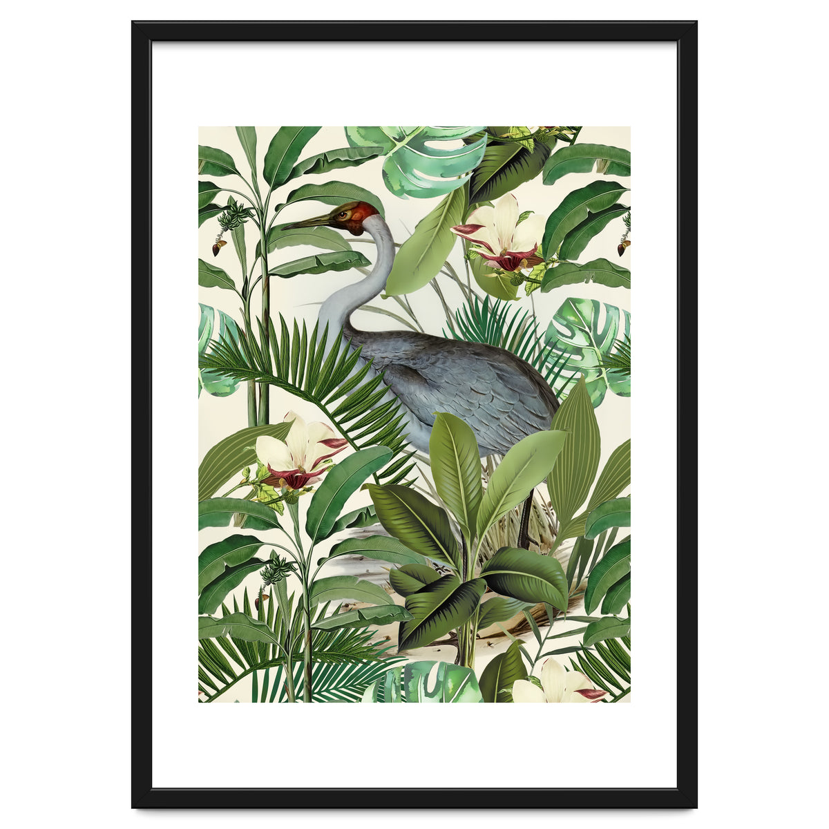 Tropical Heron