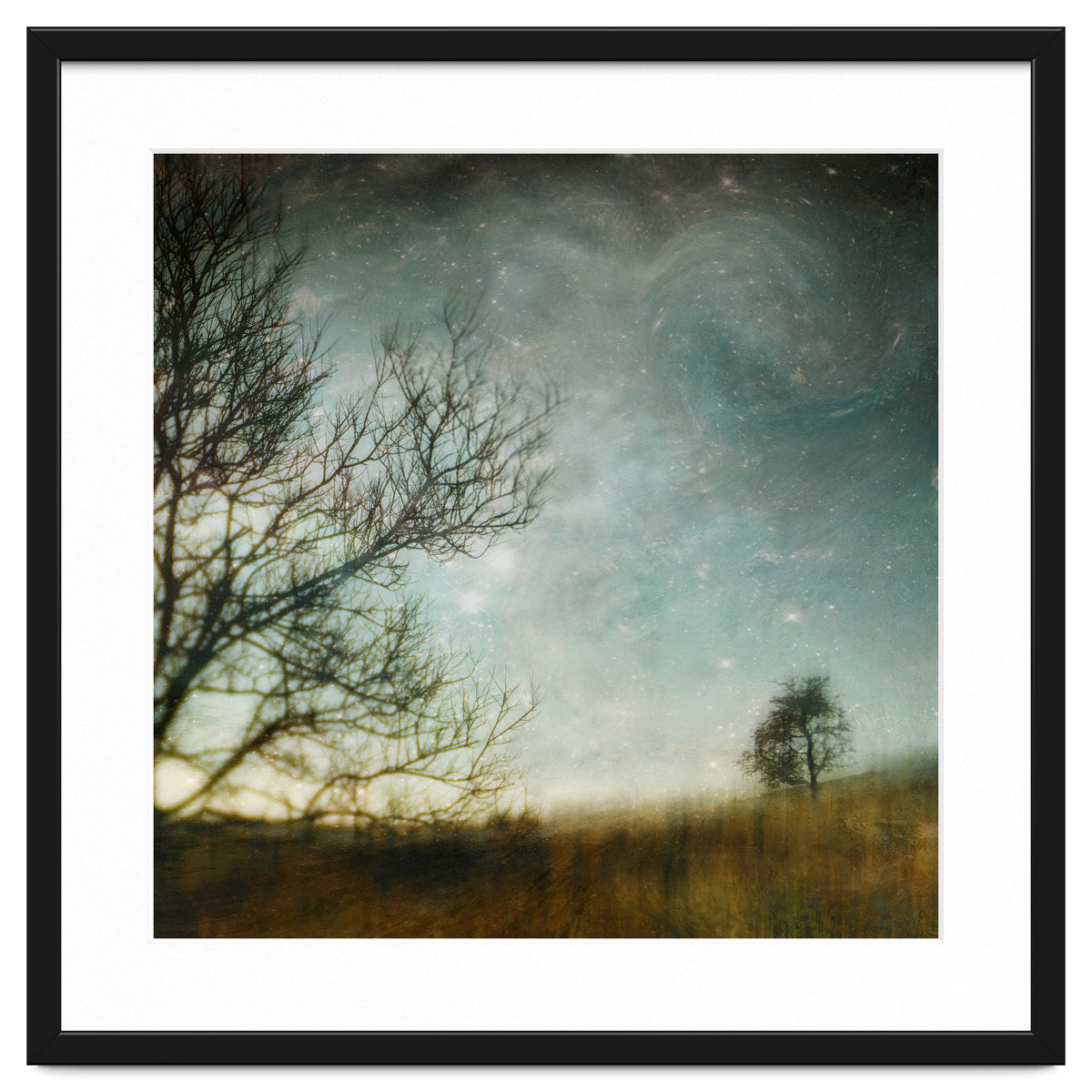 The Tree That Whispered