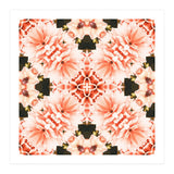 Blush Mandala (Print Only) thumbnail