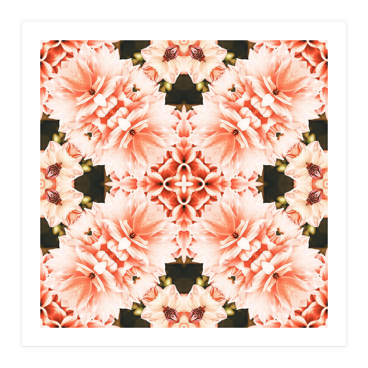 Blush Mandala (Print Only)