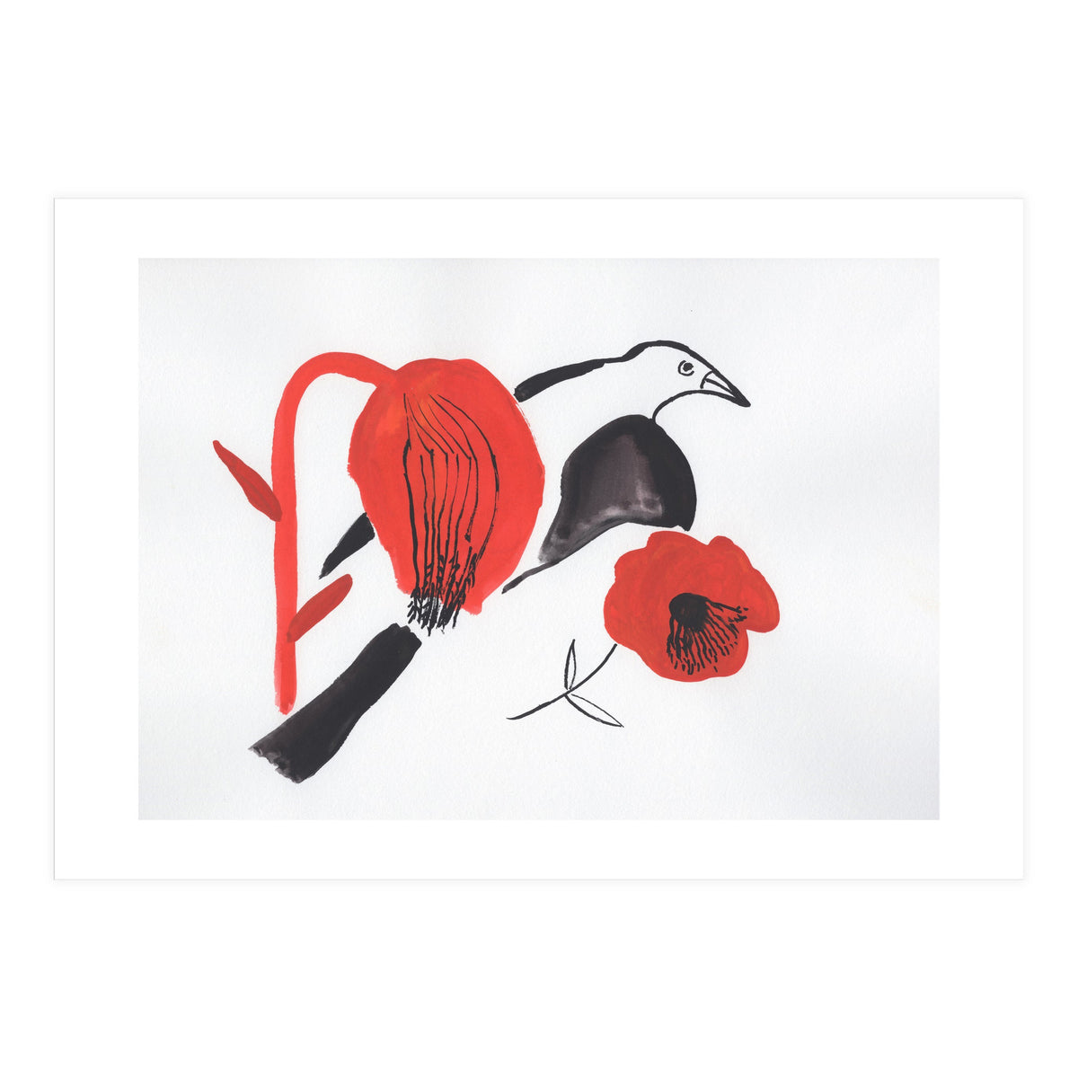 Black Bird And Poppies (Print Only)