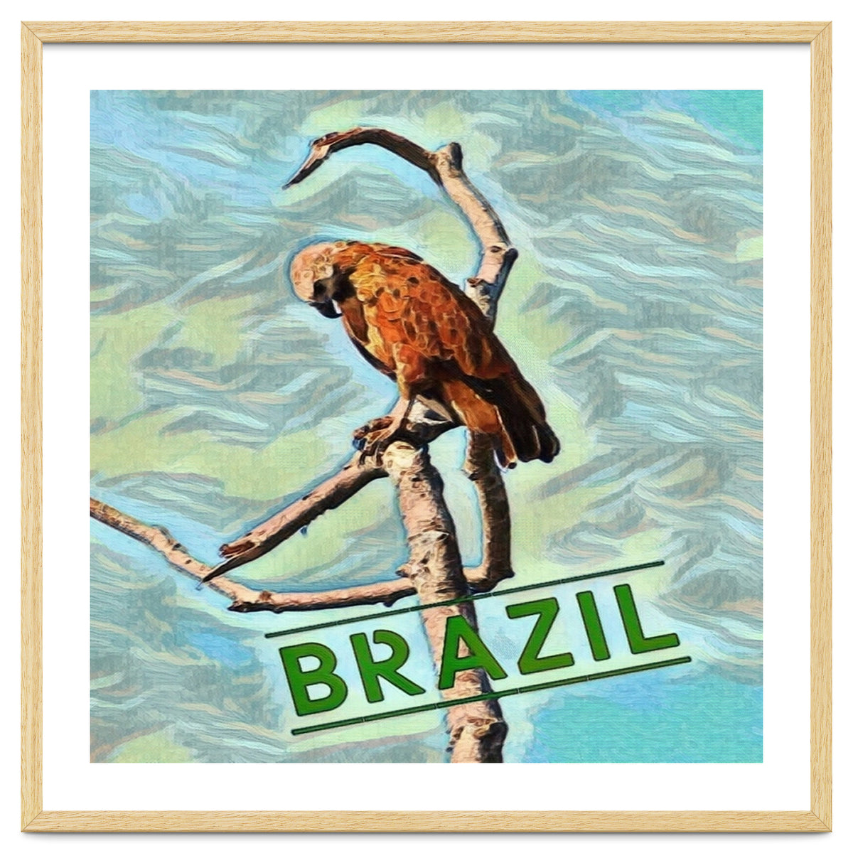 Brazilian resting Eagle