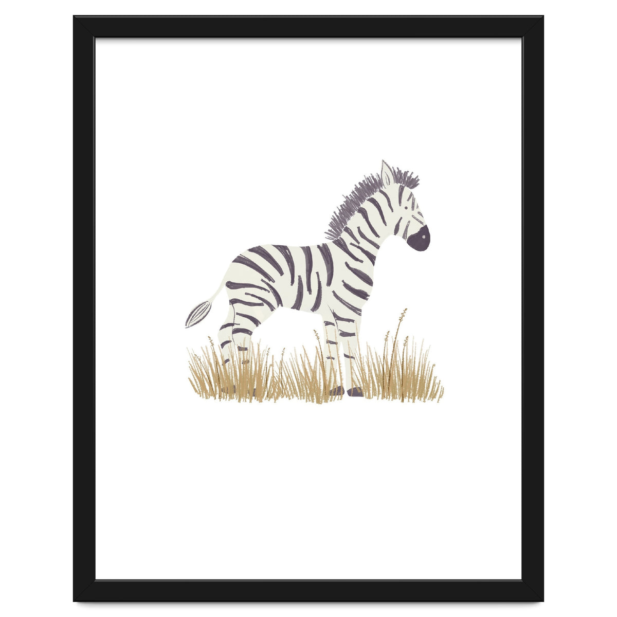 Zebra