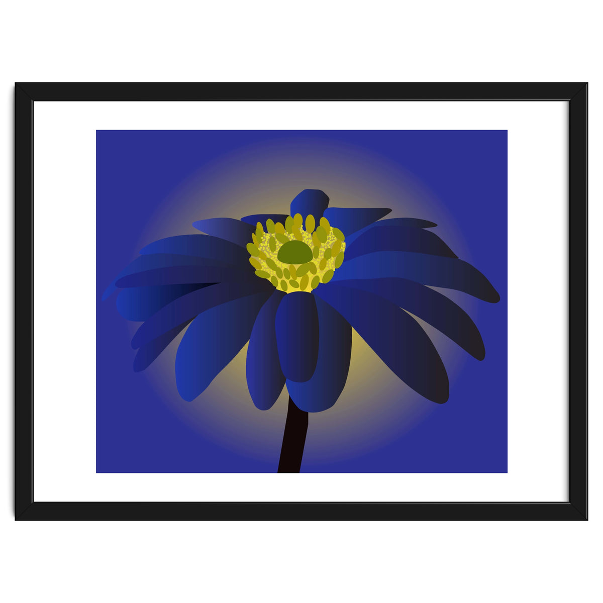Anemone Blanda Flower Art