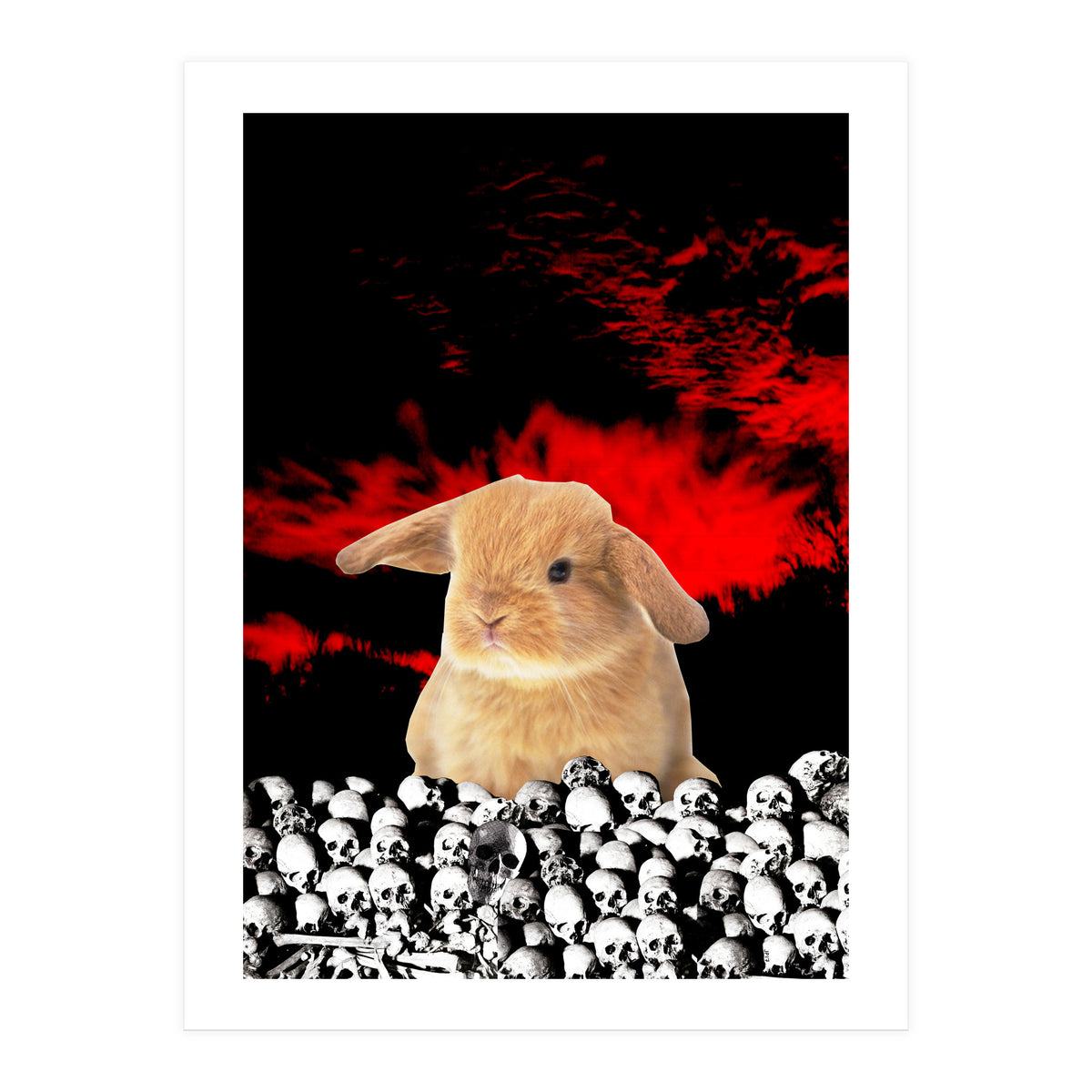 Bunny Of The Apocalypse (Print Only)