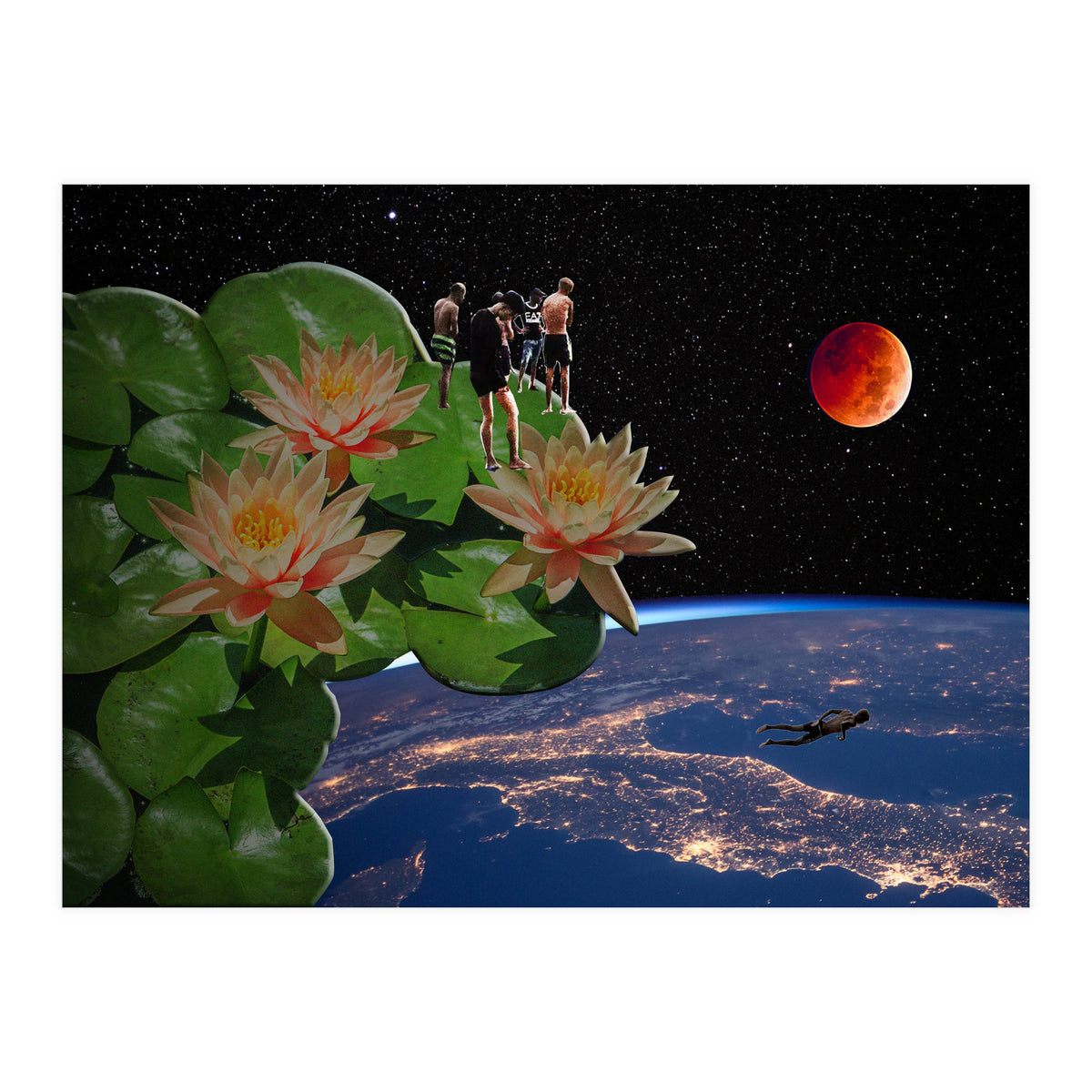 See From Lotus (Print Only)