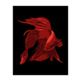 Betta (Print Only) thumbnail