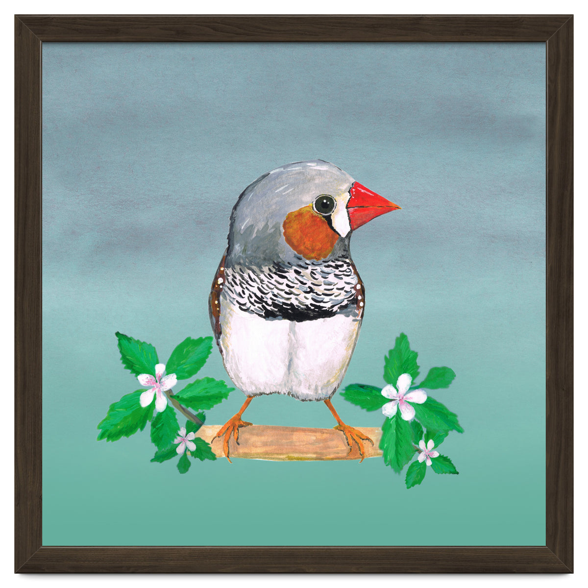 Zebra finch