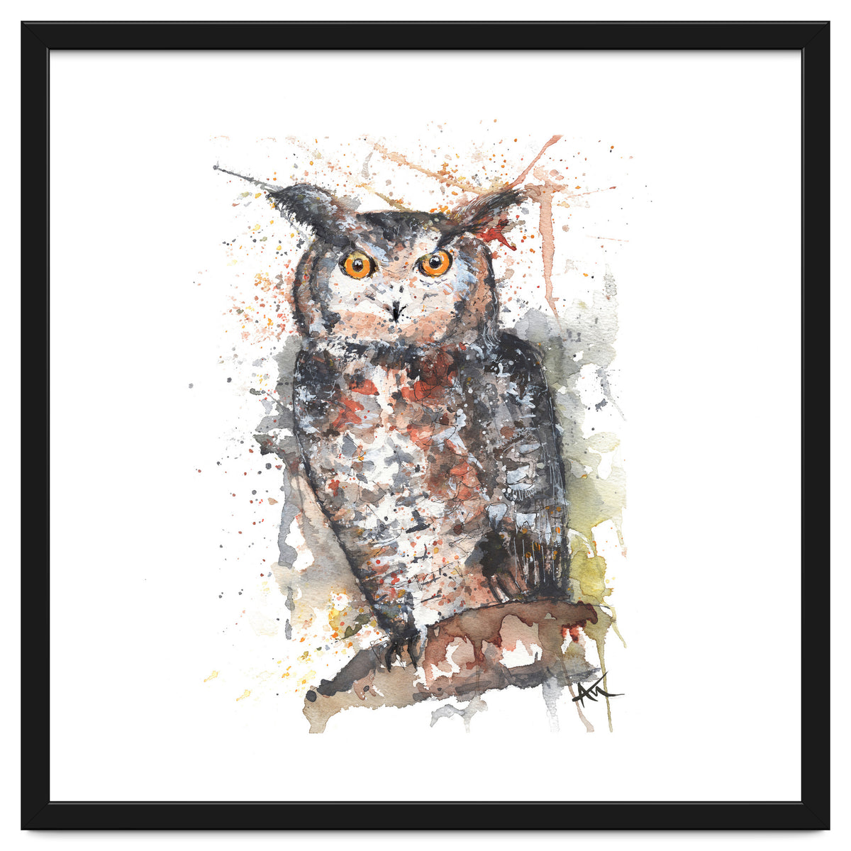 Owl - Wildlife Collection