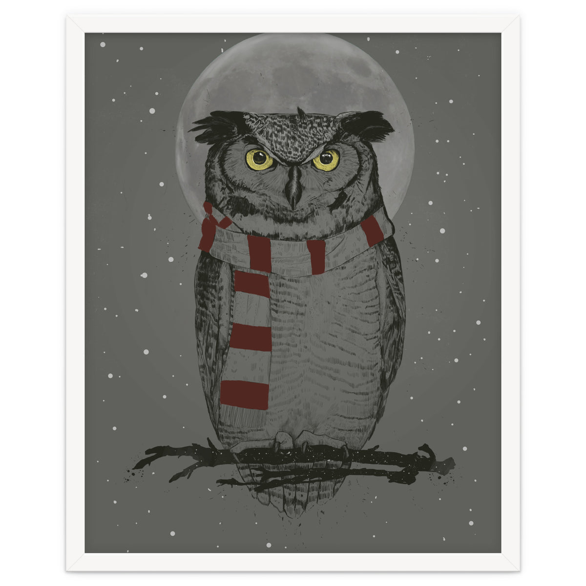 Winter Owl