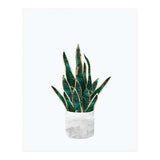 Snake Plant gold and green (Print Only) thumbnail