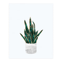 Snake Plant gold and green (Print Only)