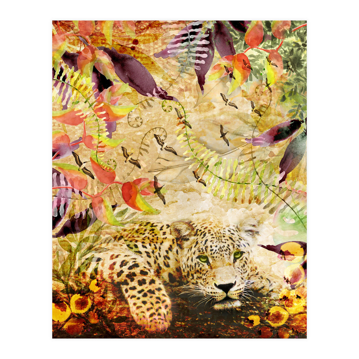 A Life Wild (Print Only)