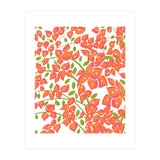 Bougainvillea Blush (Print Only) thumbnail