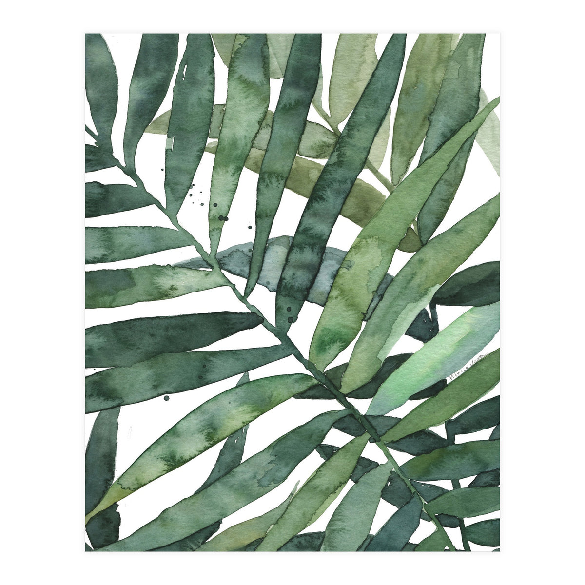 tropical 5 (Print Only)