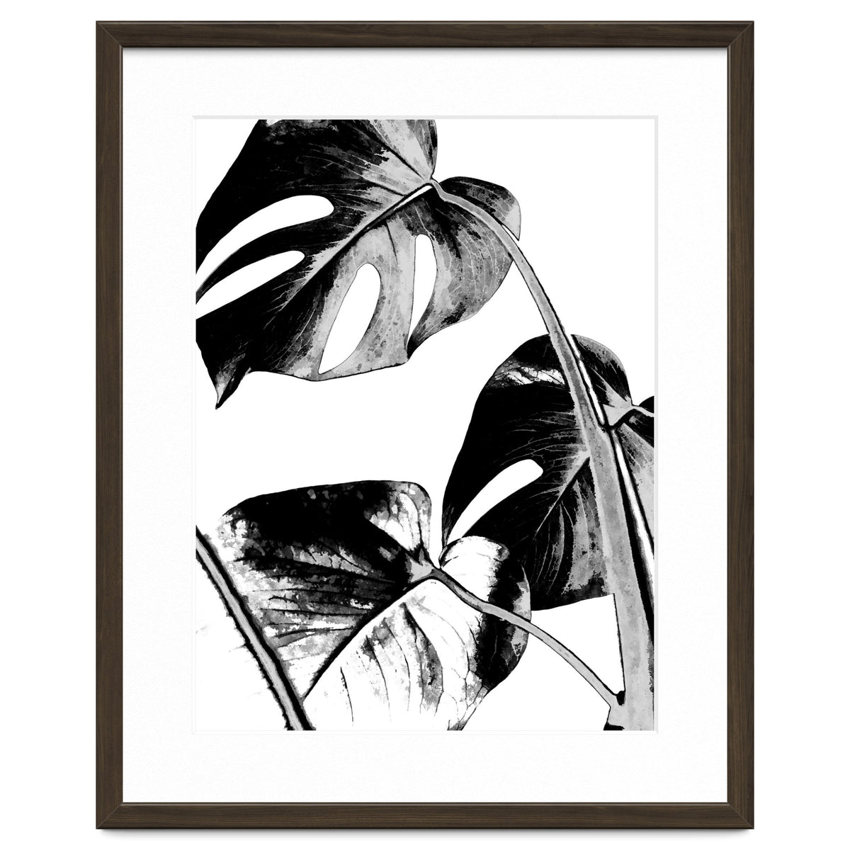 Black Tropical Leaves