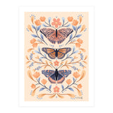 Floral Butterflies (Print Only) thumbnail