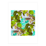 Herbs II (Print Only) thumbnail