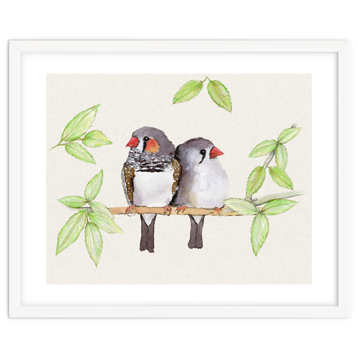 Sweet couple of zebra finches