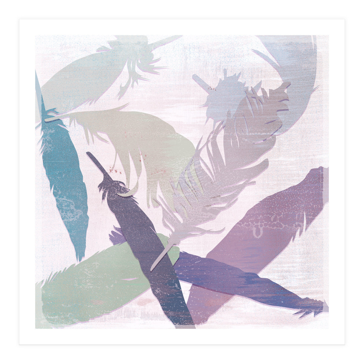 Feathers (Print Only)