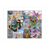 Butterfly Wings Collage (Print Only) thumbnail