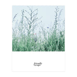 Friendly escape - Nature Photography - (Print Only) thumbnail