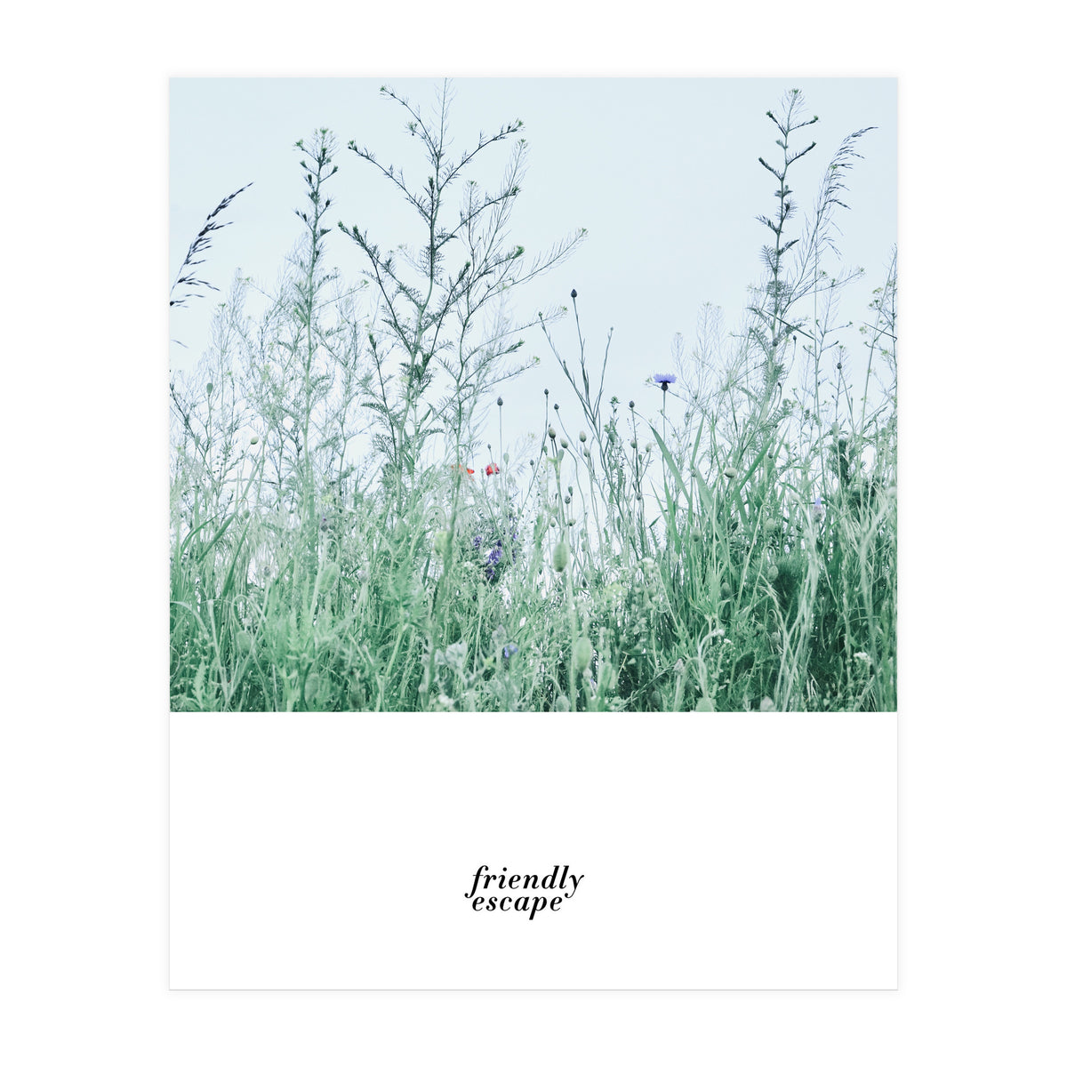 Friendly escape - Nature Photography - (Print Only)