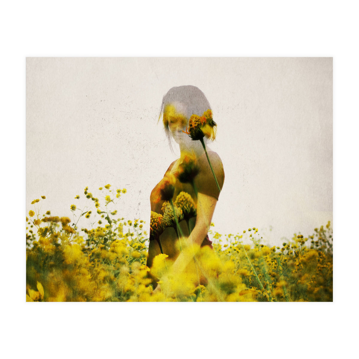 Yellow Meadow (Print Only)