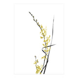 Flower Minimal Black And Gold 06 (Print Only) thumbnail