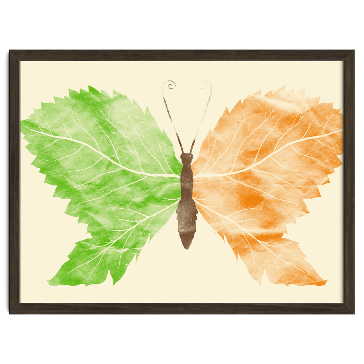 Seasons Change Time Flies