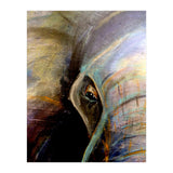 Kind Eye (Print Only) thumbnail