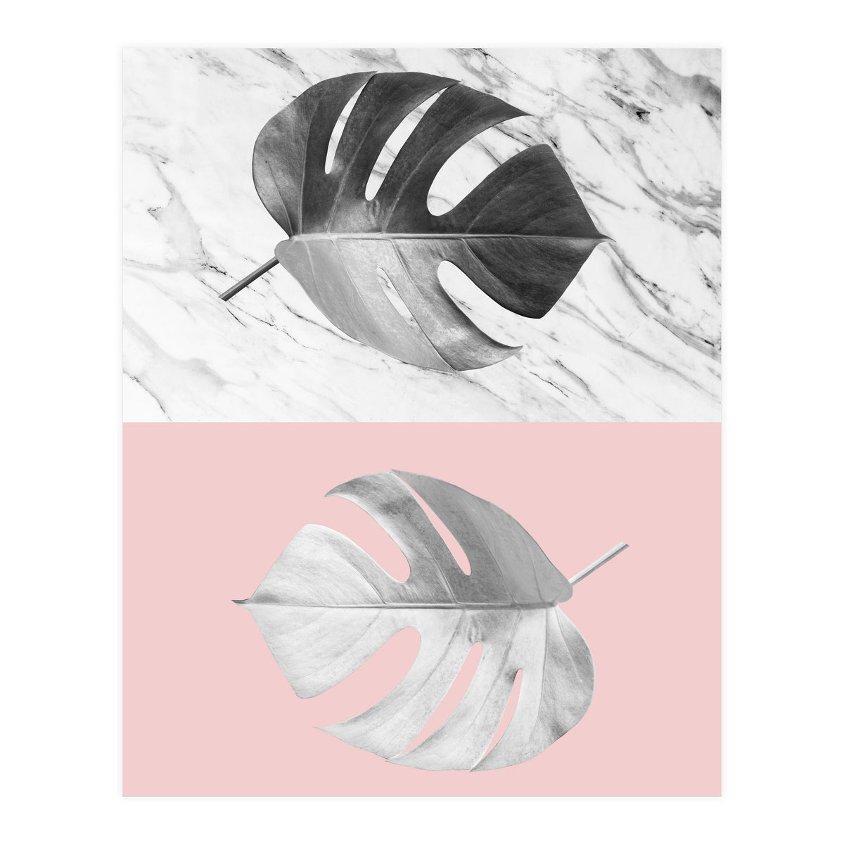 Tropical collage V (Print Only)