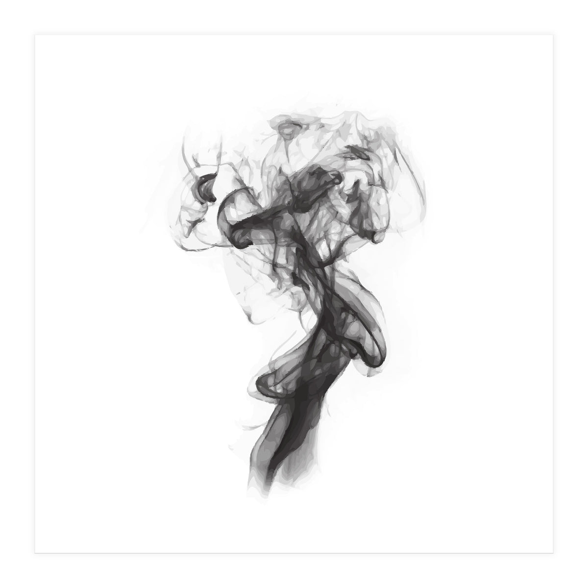 THE PORTRAIT OF A LADY (Print Only)