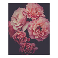 Dreamy Roses (Print Only)