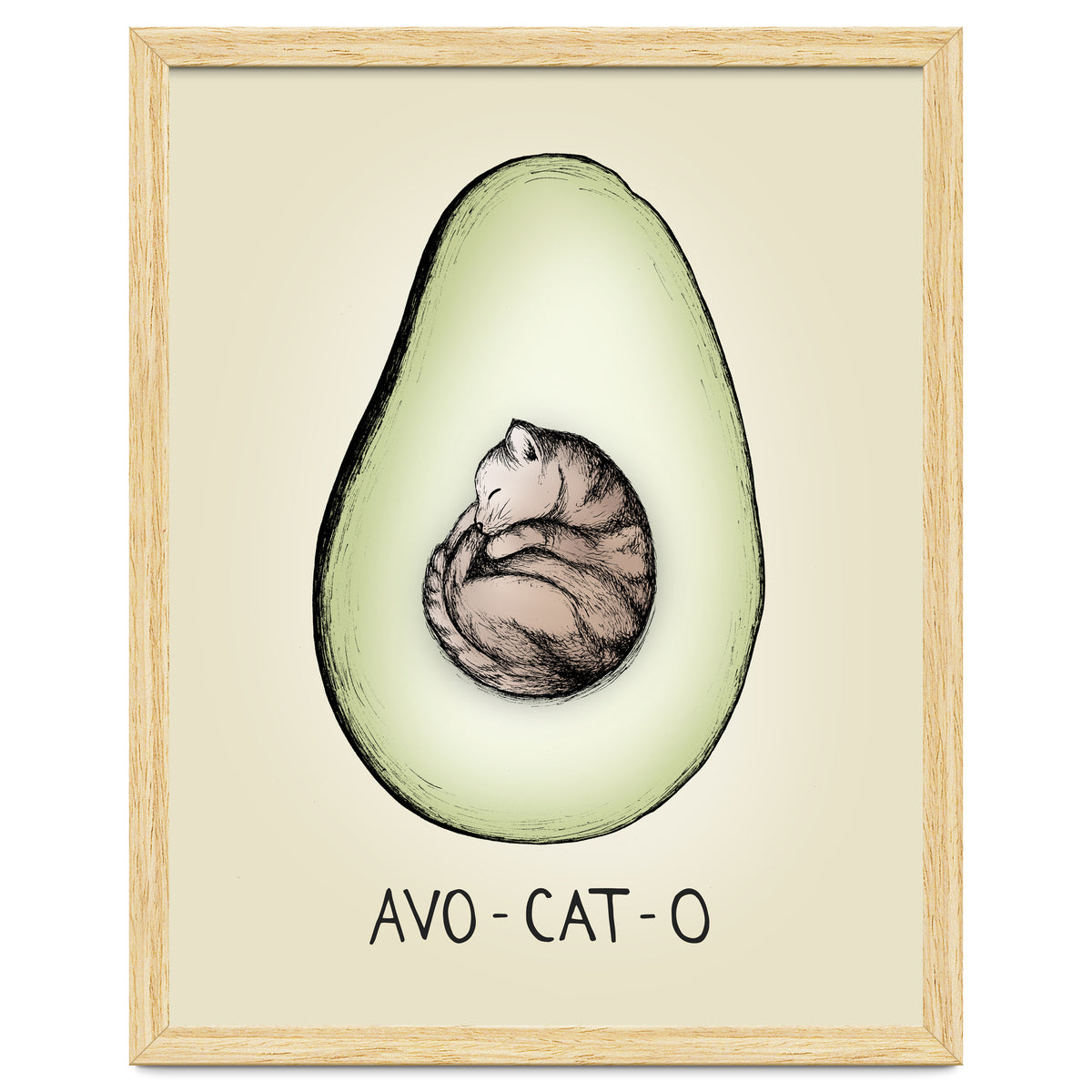 Avo-cat-o