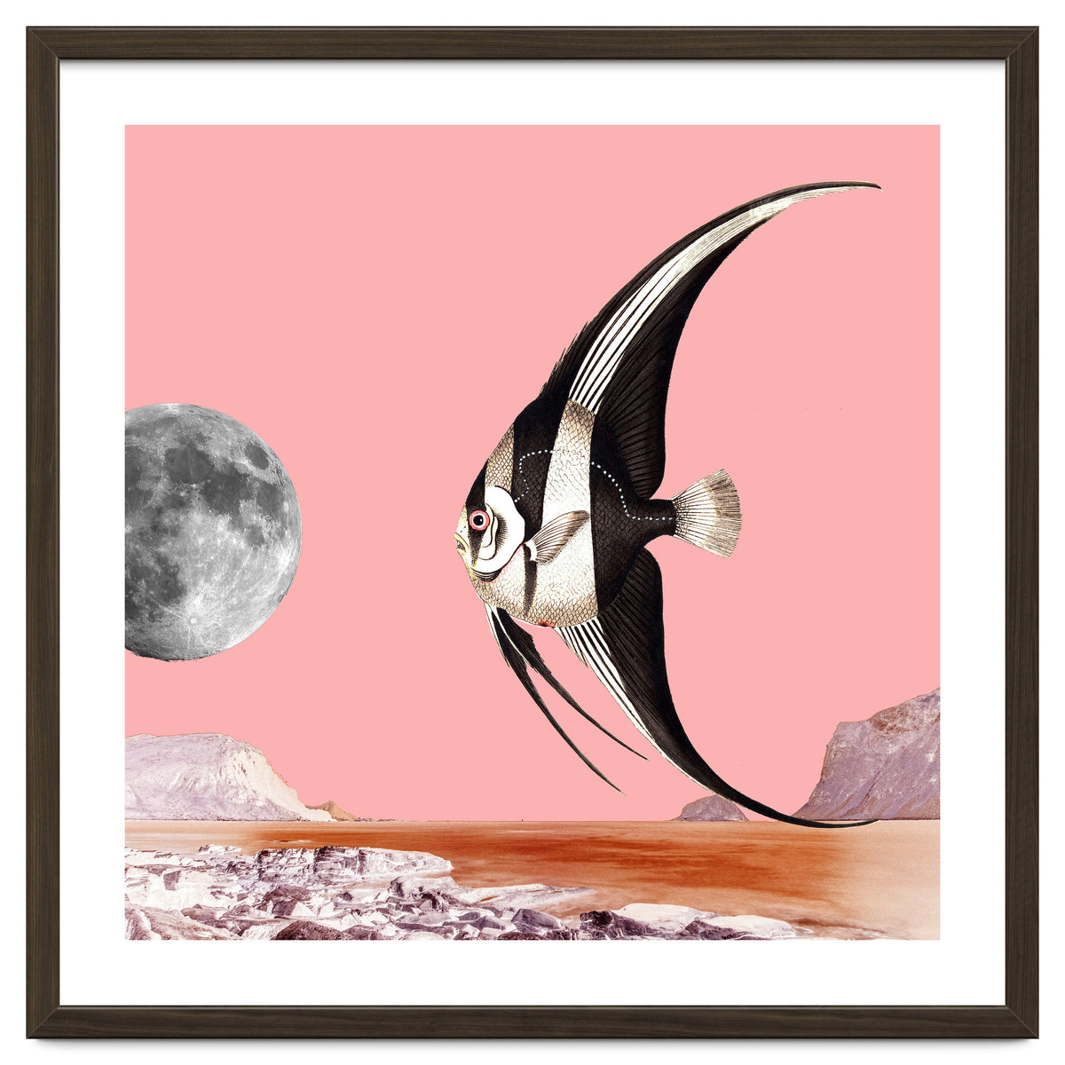 Plenty Of Fish In The Sea Pink