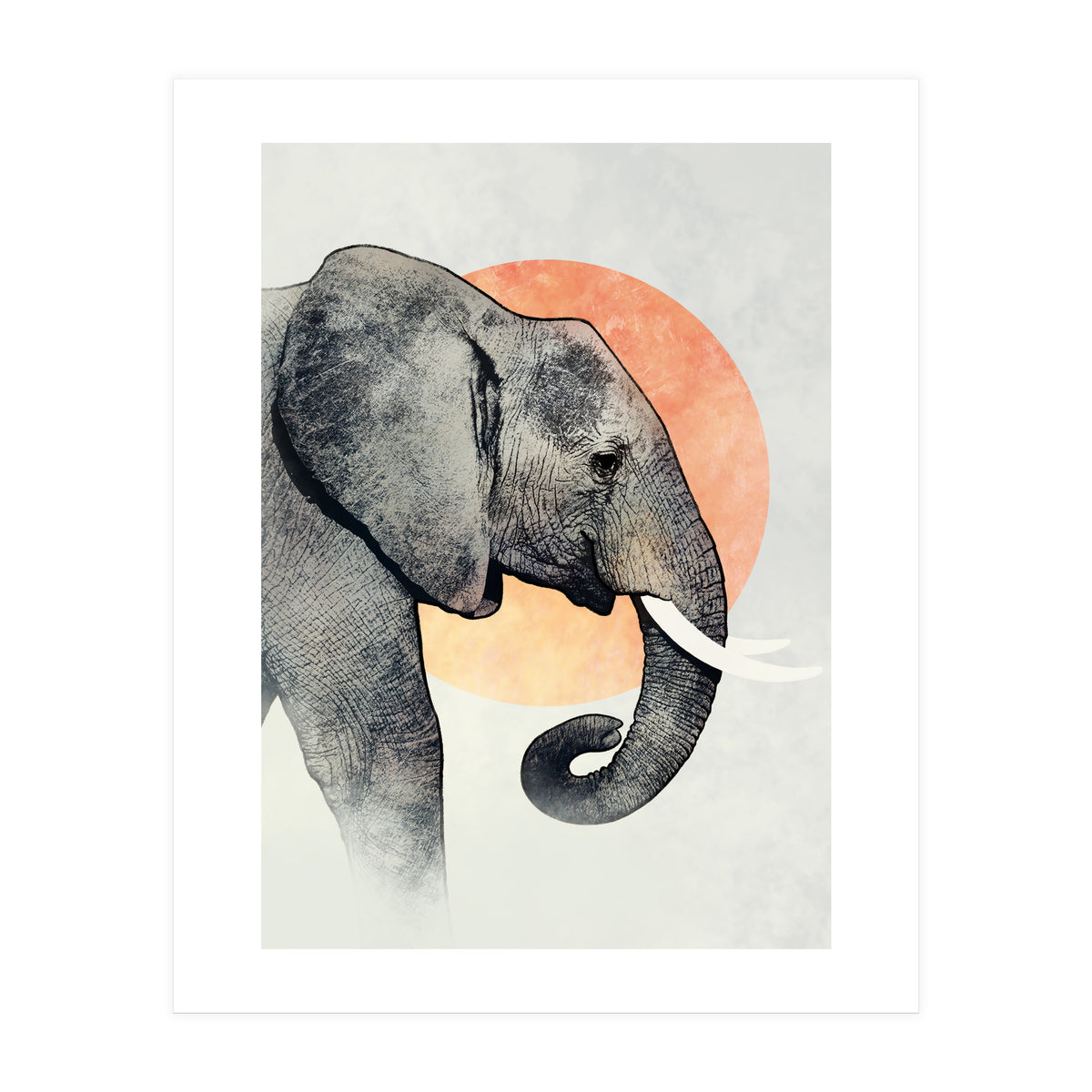 Elephant (Print Only)