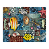 Sea Life Collage (Print Only) thumbnail