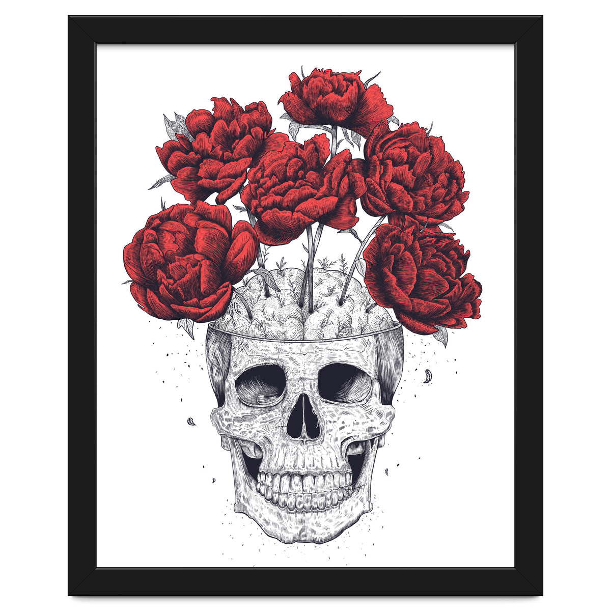 Skull With Peonies
