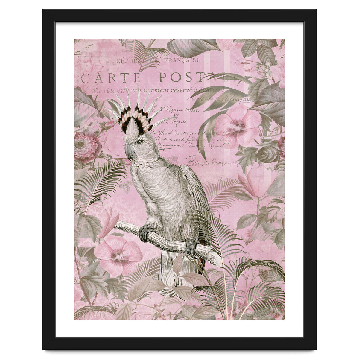 Jungle Cockatoo Pink