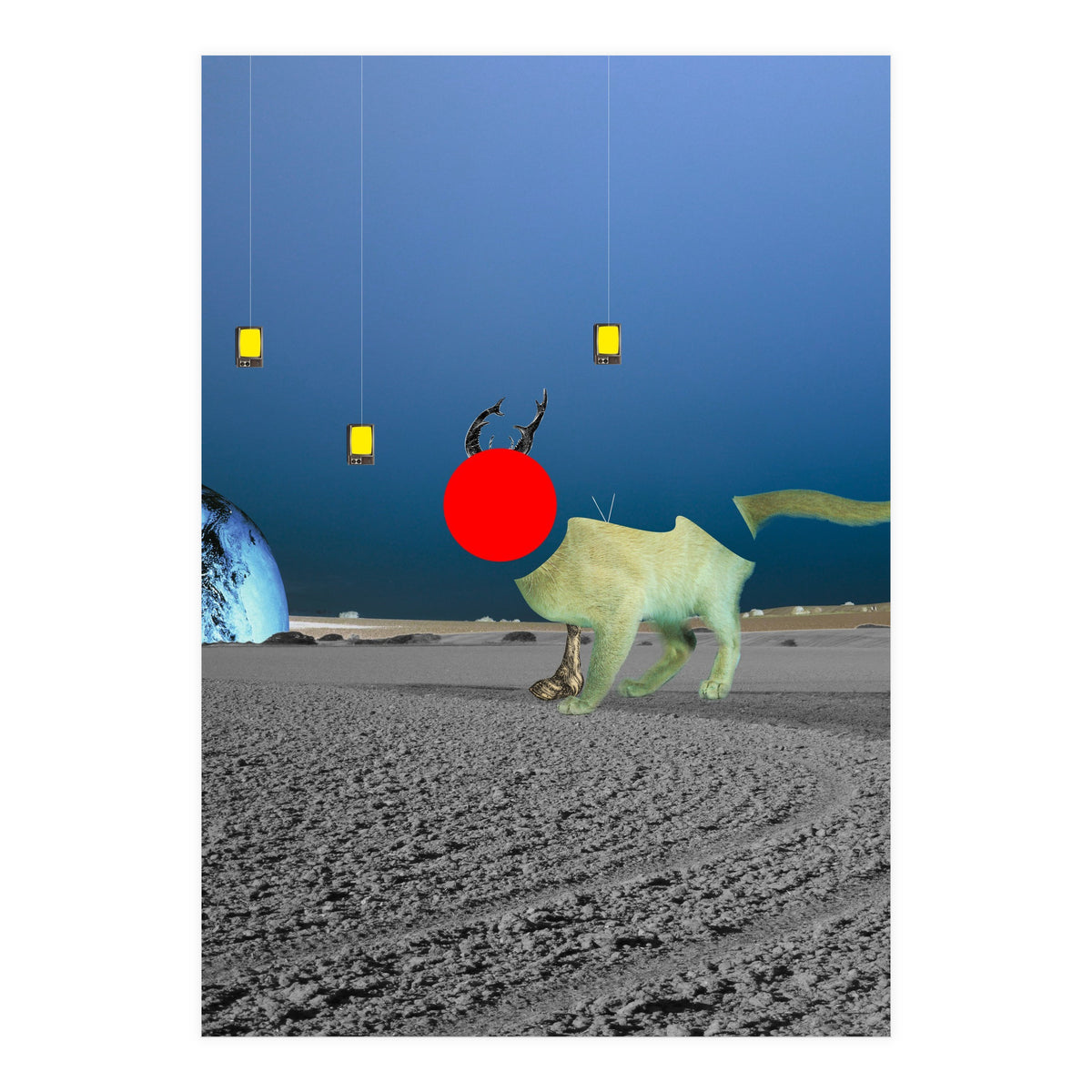 Le Cat? (Print Only)