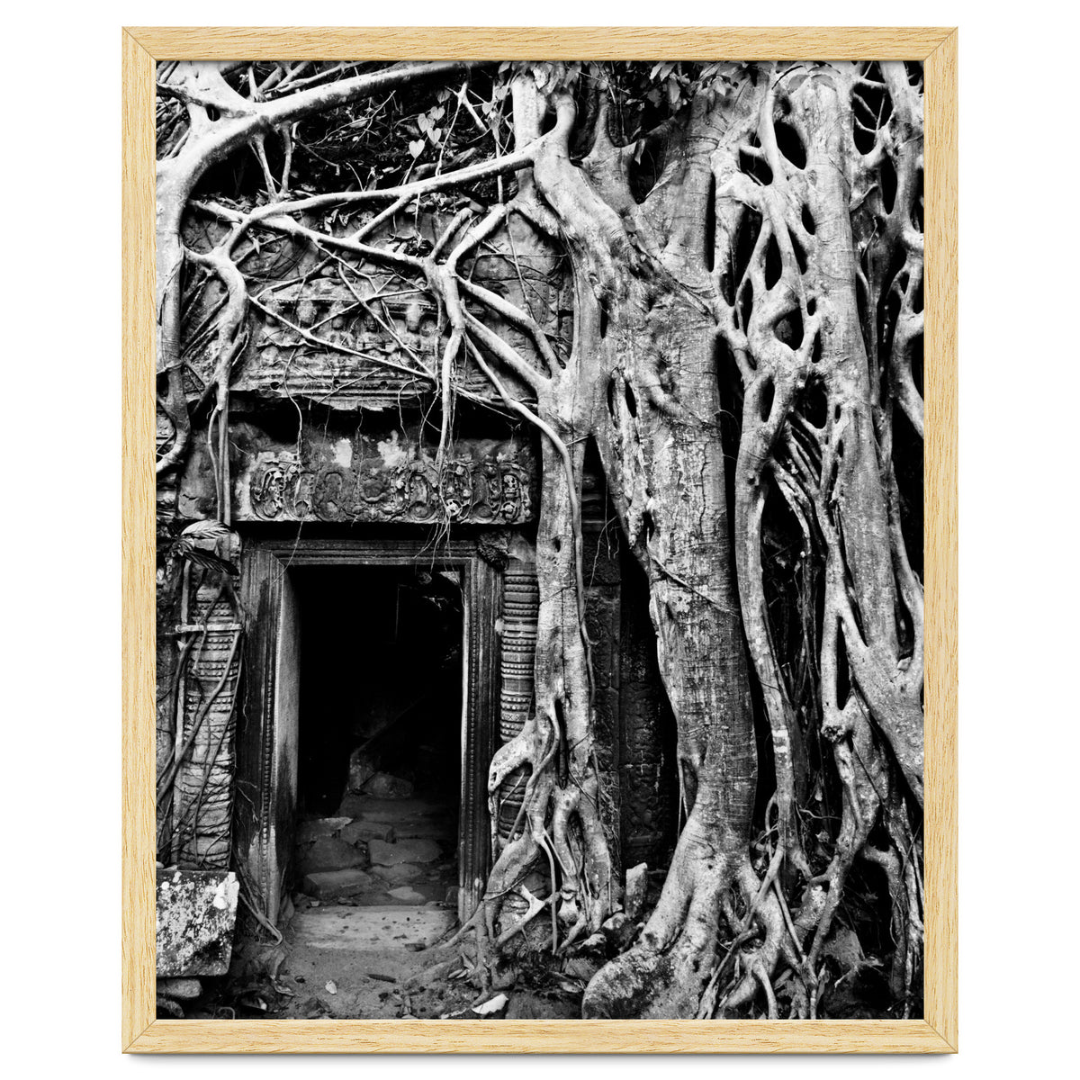 Ta Prohm Temple, Cambodia